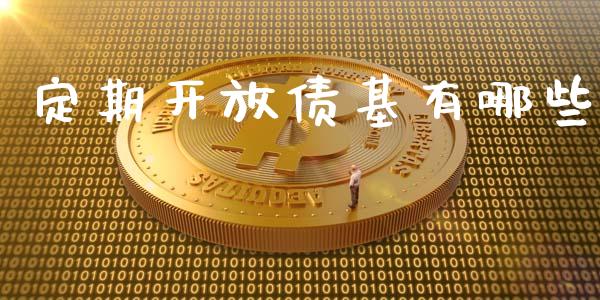 定期开放债基有哪些_https://wap.jnlaobingbanjia.com_证券公告_第1张
