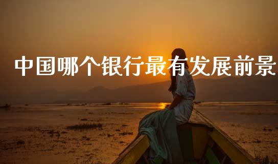 中国哪个银行最有发展前景_https://wap.jnlaobingbanjia.com_基金分析_第1张