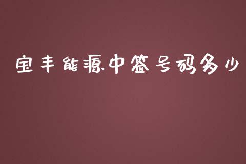 宝丰能源中签号码多少_https://wap.jnlaobingbanjia.com_金融理财_第1张
