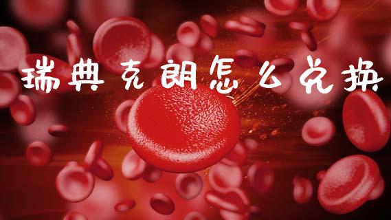 瑞典克朗怎么兑换_https://wap.jnlaobingbanjia.com_基金分析_第1张
