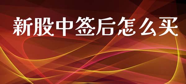 新股中签后怎么买_https://wap.jnlaobingbanjia.com_基金分析_第1张