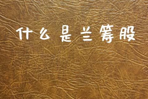 什么是兰筹股_https://wap.jnlaobingbanjia.com_金融理财_第1张
