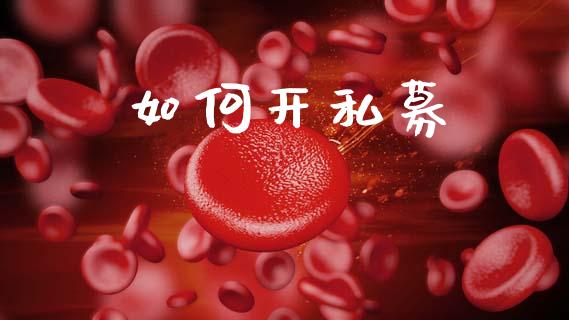 如何开私募_https://wap.jnlaobingbanjia.com_财务管理_第1张