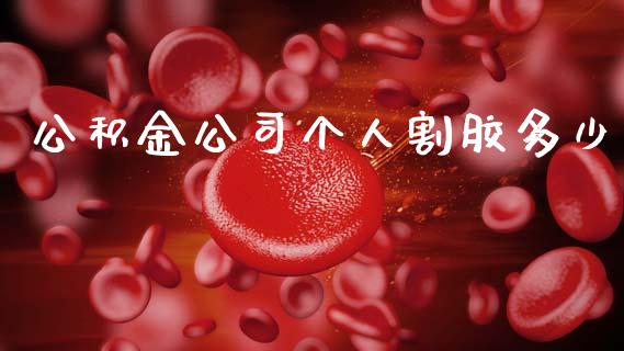 公积金公司个人割胶多少_https://wap.jnlaobingbanjia.com_金融理财_第1张