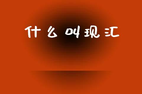 什么叫现汇_https://wap.jnlaobingbanjia.com_股市行情_第1张