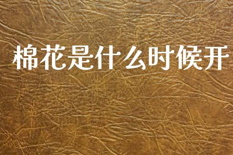 棉花是什么时候开_https://wap.jnlaobingbanjia.com_财务管理_第1张