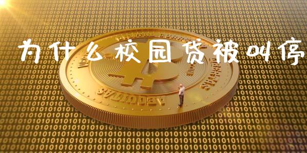 为什么校园贷被叫停_https://wap.jnlaobingbanjia.com_财务管理_第1张