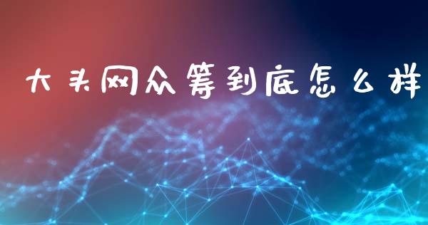大头网众筹到底怎么样_https://wap.jnlaobingbanjia.com_金融理财_第1张