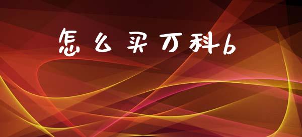怎么买万科b_https://wap.jnlaobingbanjia.com_基金分析_第1张