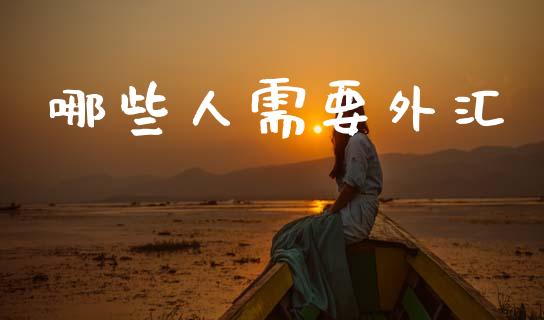 哪些人需要外汇_https://wap.jnlaobingbanjia.com_财务管理_第1张