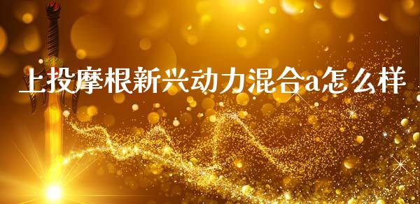 上投摩根新兴动力混合a怎么样_https://wap.jnlaobingbanjia.com_证券公告_第1张