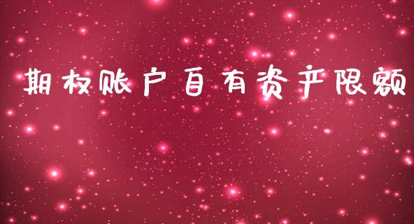 期权账户自有资产限额_https://wap.jnlaobingbanjia.com_财务管理_第1张