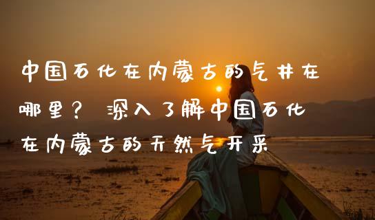 中国石化在内蒙古的气井在哪里？ 深入了解中国石化在内蒙古的天然气开采_https://wap.jnlaobingbanjia.com_股市行情_第1张