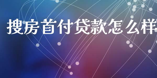搜房首付贷款怎么样_https://wap.jnlaobingbanjia.com_财务管理_第1张