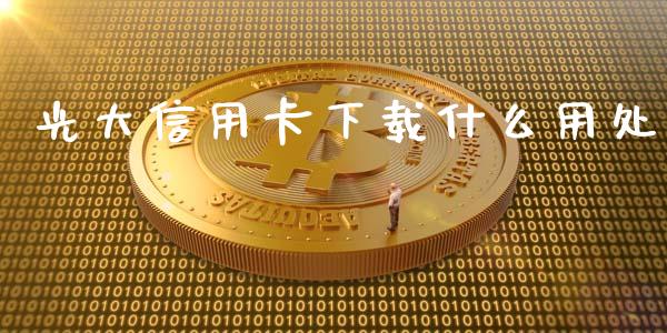 光大信用卡下载什么用处_https://wap.jnlaobingbanjia.com_财务管理_第1张