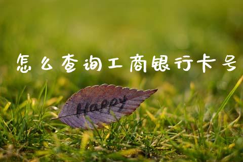怎么查询工商银行卡号_https://wap.jnlaobingbanjia.com_财经资讯_第1张