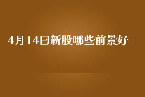 4月14曰新股哪些前景好_https://wap.jnlaobingbanjia.com_财务管理_第1张