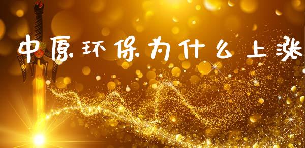 中原环保为什么上涨_https://wap.jnlaobingbanjia.com_财务管理_第1张
