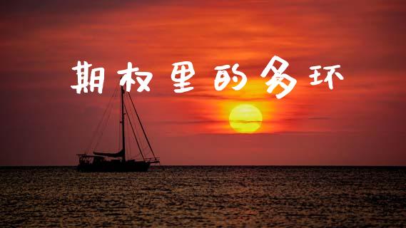 期权里的多环_https://wap.jnlaobingbanjia.com_基金分析_第1张
