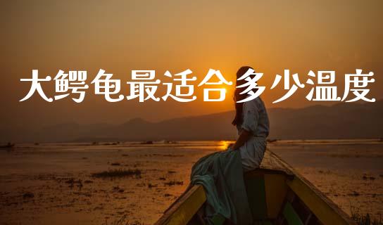 大鳄龟最适合多少温度_https://wap.jnlaobingbanjia.com_基金分析_第1张