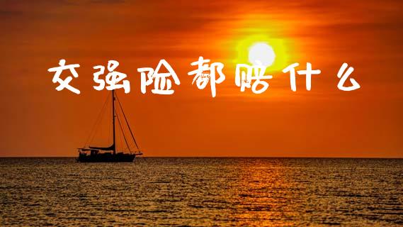 交强险都赔什么_https://wap.jnlaobingbanjia.com_金融理财_第1张
