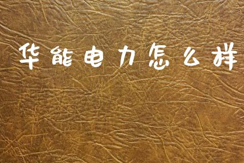 华能电力怎么样_https://wap.jnlaobingbanjia.com_金融理财_第1张