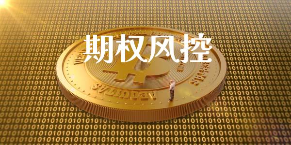 期权风控_https://wap.jnlaobingbanjia.com_财务管理_第1张