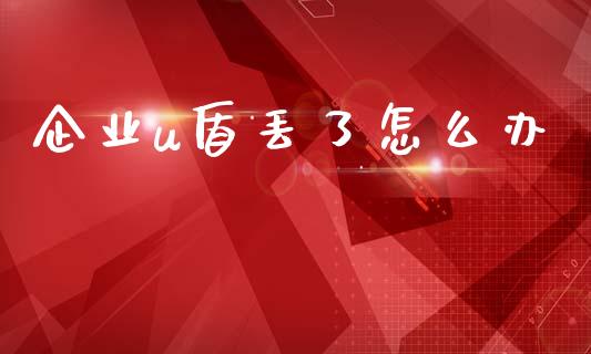 企业u盾丢了怎么办_https://wap.jnlaobingbanjia.com_基金分析_第1张