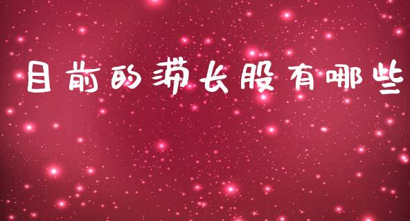 目前的滞长股有哪些_https://wap.jnlaobingbanjia.com_基金分析_第1张