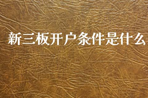新三板开户条件是什么_https://wap.jnlaobingbanjia.com_财经资讯_第1张