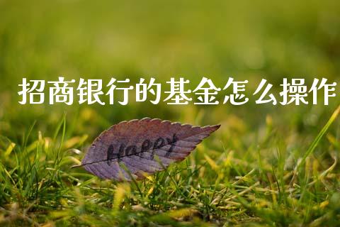 招商银行的基金怎么操作_https://wap.jnlaobingbanjia.com_基金分析_第1张