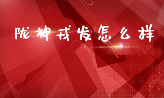 陇神戎发怎么样_https://wap.jnlaobingbanjia.com_基金分析_第1张