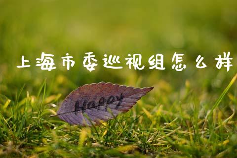 上海市委巡视组怎么样_https://wap.jnlaobingbanjia.com_股市行情_第1张