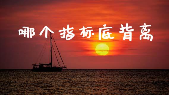 哪个指标底背离_https://wap.jnlaobingbanjia.com_股市行情_第1张