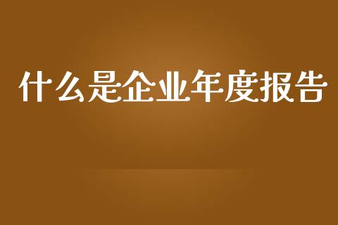 什么是企业年度报告_https://wap.jnlaobingbanjia.com_财务管理_第1张