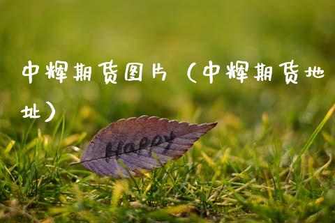 中辉期货图片（中辉期货地址）_https://wap.jnlaobingbanjia.com_金融理财_第1张