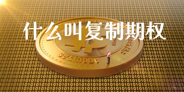 什么叫复制期权_https://wap.jnlaobingbanjia.com_金融理财_第1张
