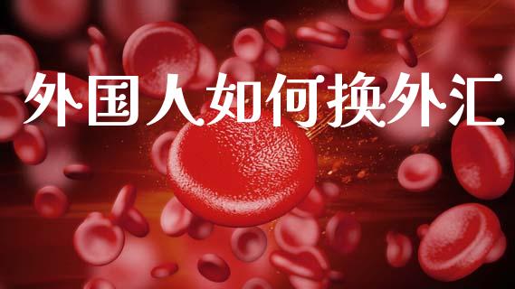 外国人如何换外汇_https://wap.jnlaobingbanjia.com_基金分析_第1张