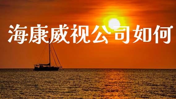 海康威视公司如何_https://wap.jnlaobingbanjia.com_金融理财_第1张