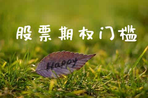 股票期权门槛_https://wap.jnlaobingbanjia.com_基金分析_第1张