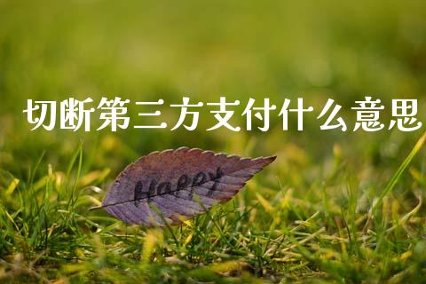 切断第三方支付什么意思_https://wap.jnlaobingbanjia.com_财务管理_第1张