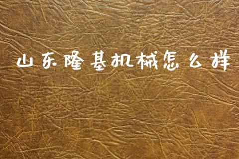 山东隆基机械怎么样_https://wap.jnlaobingbanjia.com_基金分析_第1张