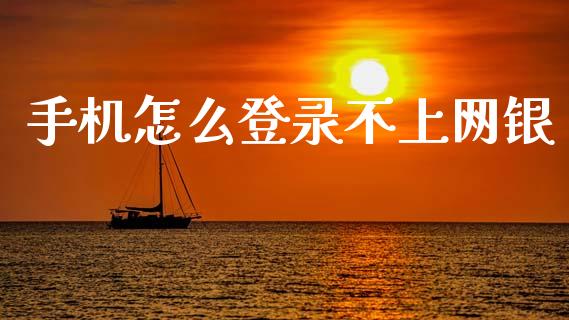手机怎么登录不上网银_https://wap.jnlaobingbanjia.com_财经资讯_第1张