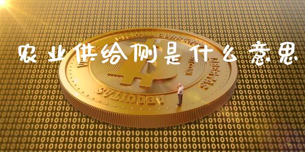 农业供给侧是什么意思_https://wap.jnlaobingbanjia.com_基金分析_第1张