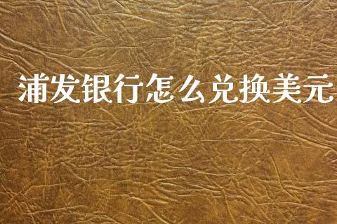 浦发银行怎么兑换美元_https://wap.jnlaobingbanjia.com_基金分析_第1张