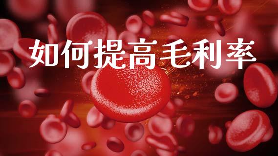 如何提高毛利率_https://wap.jnlaobingbanjia.com_证券公告_第1张