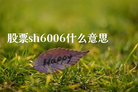 股票sh6006什么意思_https://wap.jnlaobingbanjia.com_基金分析_第1张