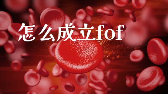 怎么成立fof_https://wap.jnlaobingbanjia.com_证券公告_第1张