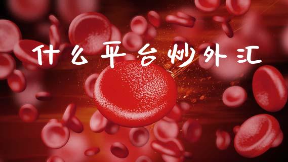什么平台炒外汇_https://wap.jnlaobingbanjia.com_财务管理_第1张