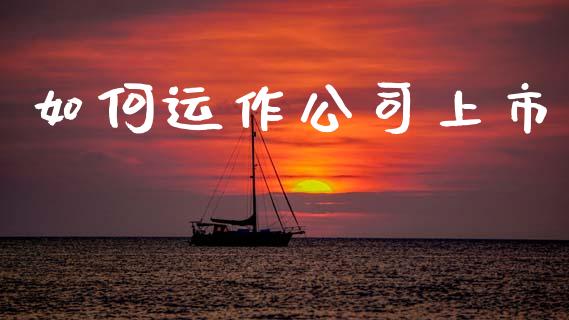 如何运作公司上市_https://wap.jnlaobingbanjia.com_证券公告_第1张